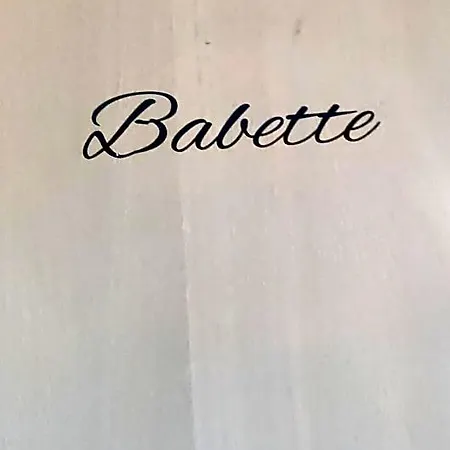 Les Coquelicots - Babette Bed & Breakfast Houdan